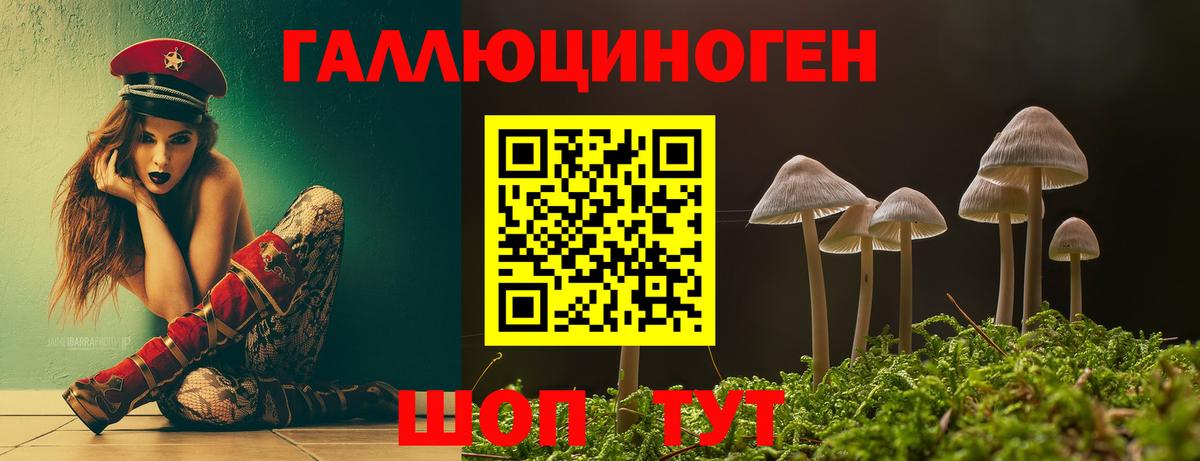 Псилоцибиновые грибы Psilocybine cubensis Кинель