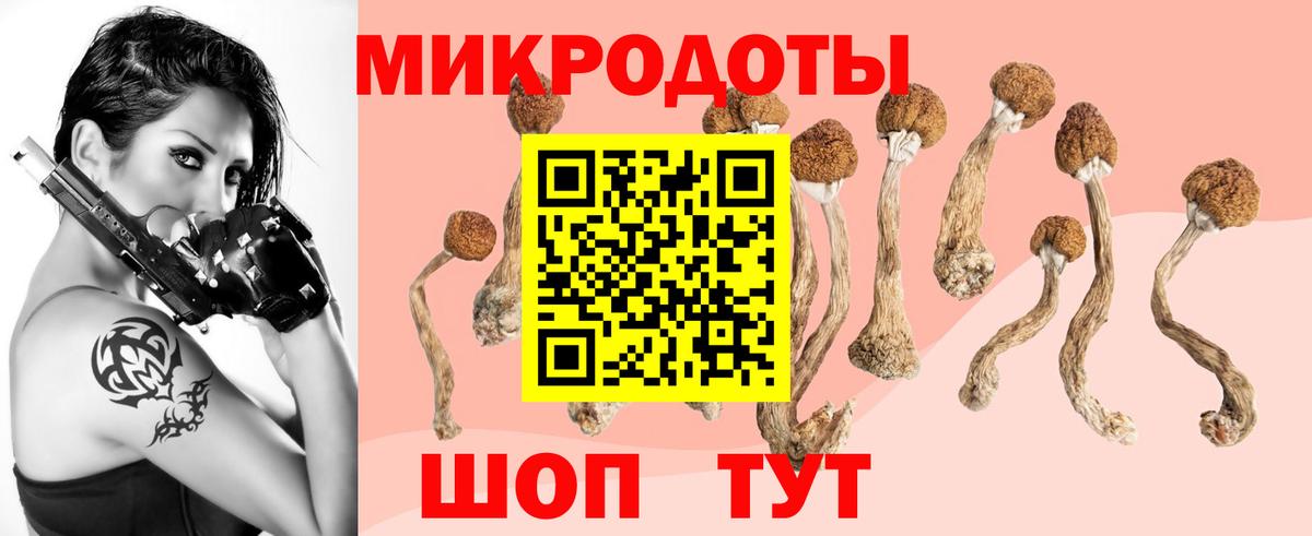 Кинель  Псилоцибиновые грибы GOLDEN TEACHER  наркотики  Вход с VPN 